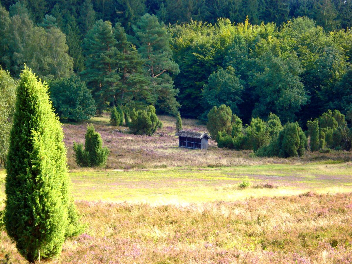 Landgasthaus Zum Naturschutzpark Bispingen Esterno foto