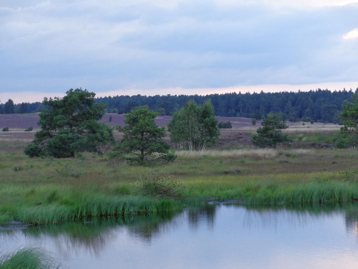 Landgasthaus Zum Naturschutzpark Bispingen Esterno foto